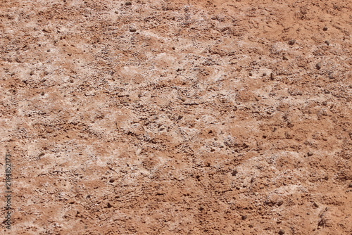 Cuadro en lienzo white salt deposits spreading across dry desert soil