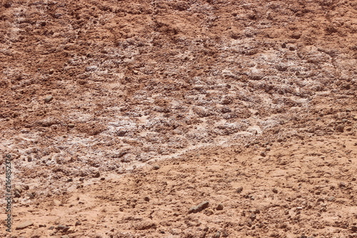 Quadro su tela white salt deposits spreading across dry desert soil