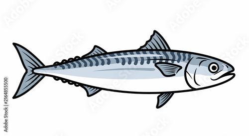 Vector illustration of a mackerel fish with signature dark stripes, silver body, and detailed fins, marine life and seafood concept isolated on white.