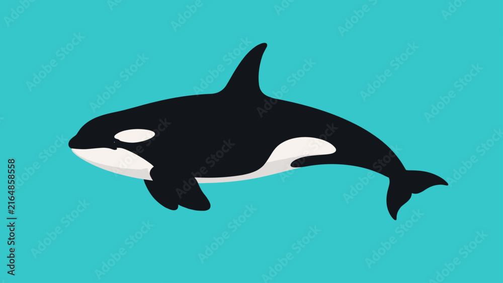 Fototapeta premium Stylized illustration of a black and white orca whale swimming in blue water