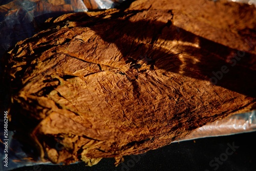 Tobacco Leaf Preparation for Cigar	
