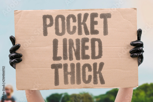 Cuadro en lienzo "Pocket lined thick" Official has made substantial illegal income