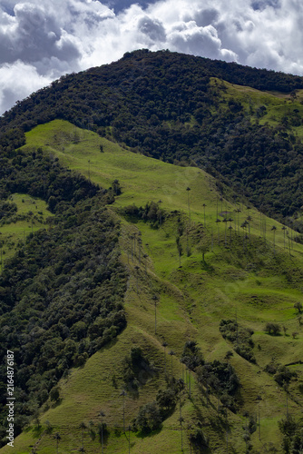 mountain landscape in the cocora valley