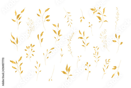 Hand Drawn Botanical Flowers and Leaves Line Art Vector Set