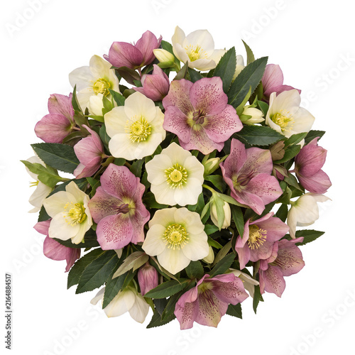 hellebore christmas rose bouquet