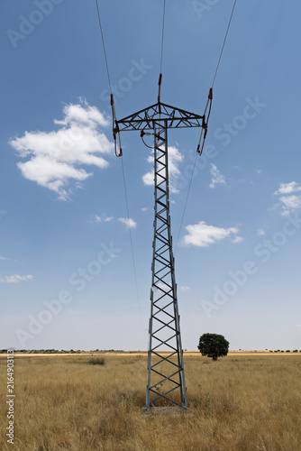 Obraz na plátně Electricity pylon delivering power across rural landscape