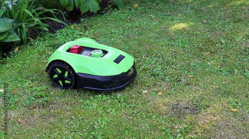 Robotic lawn mower autonomously mowing a residential garden lawn on a sunny day. Modern automatic grass cutting machine moving across a well-maintained green yard