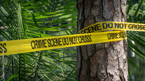Tropical Crime Scene