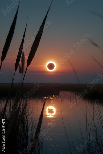 Ring of fire eclipse over tranquil marshland.