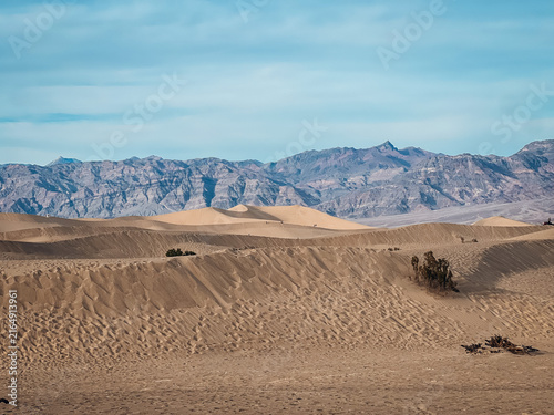 sand dunes in death valley