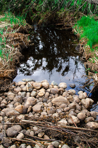 Fotografía Vertical shot of a rock dam constructed from smooth river stones across a narrow, quiet stream reflecting overhanging tree branches in Duck Mountain Provincial Park near Child's Lake, Manitoba