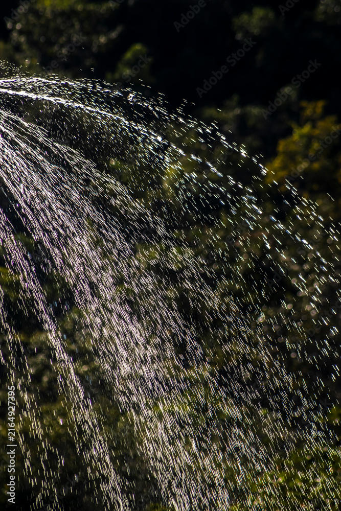 Fototapeta premium High shutter speed close-up photo capturing crisp water drops spraying from a sprinkler over dark green tropical garden trees during a hot sunny day in Brazil.