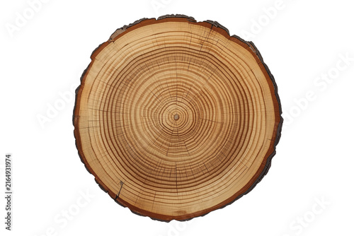 Circular tree slice showing annual rings