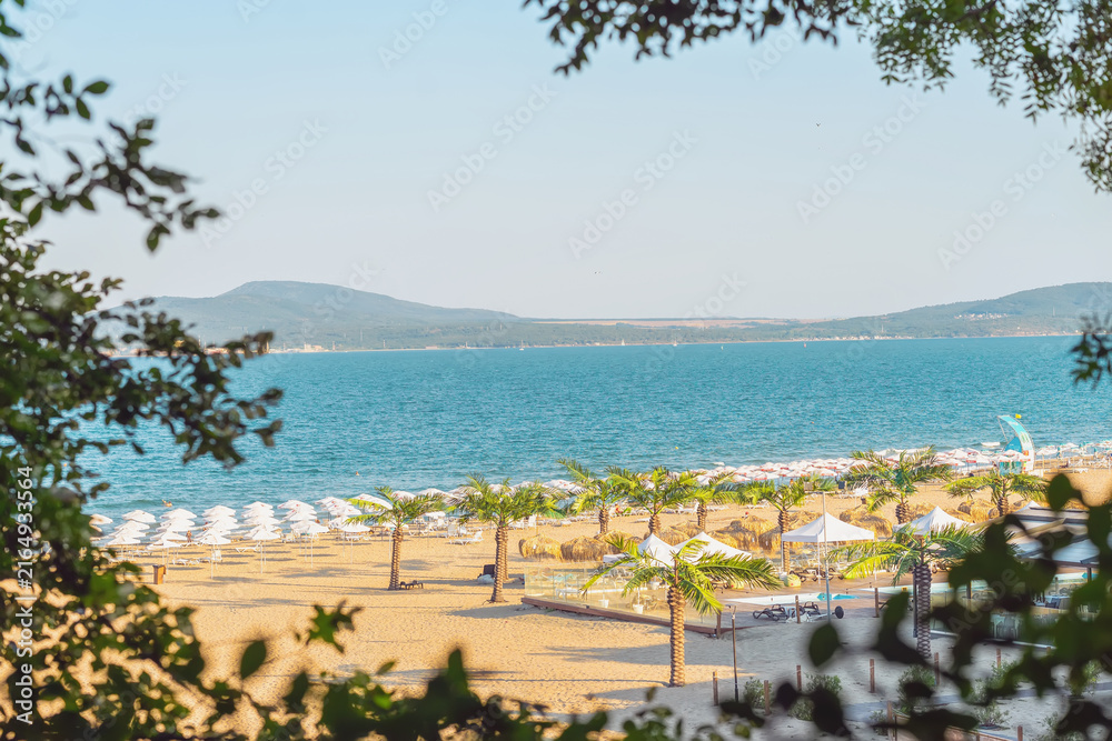 Fototapeta premium Sandy city beach with palm trees and rows of umbrellas stretches along the Black Sea coast in Burgas on a clear summer day. Bulgarian coast