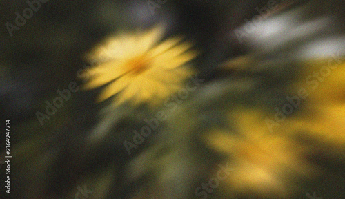 Yellow wildflower motion blur background with soft green foliage and dreamy natural atmosphere
