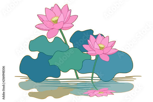 A clean graphic illustration of two pink lotus blossoms with green and teal lily pads reflected in a stylized pool of water on a white background. Serene and zen aesthetic.