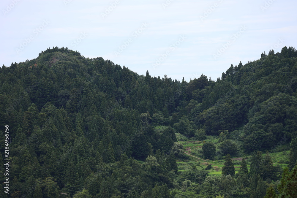 Fototapeta premium Mountain Forest Landscape in Rural Japan