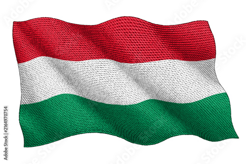 Hungarian Flag Vintage Engraving