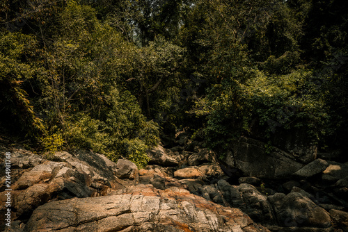 Принти на полотні Thailand Jungle
