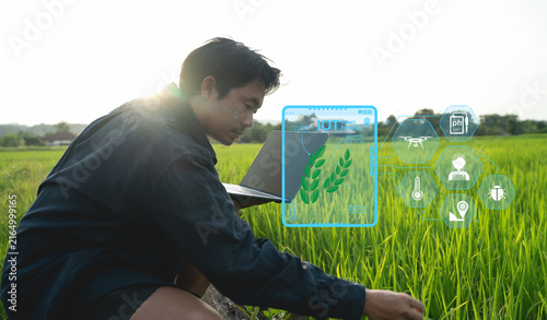 Person using laptop in rice field with digital agriculture icons overlayed, symbolizing smart farming technology
