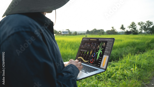 Person using laptop in lush green field, analyzing agricultural data on screen. scene conveys sense of modern farming technology