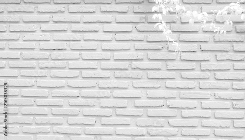 Canvastavla White painted brick wall texture with subtle climbing vine leaves, clean minimalist architectural background featuring masonry pattern, modern exterior surface and copy space for design project