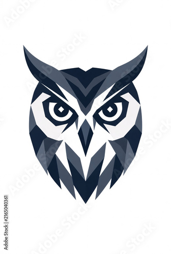 Minimal symmetrical owl face logo, geometric eyes and feather shapes, intelligent modern emblem, clean flat vector design, isolated on pure white background, no text, no letters, no mockup