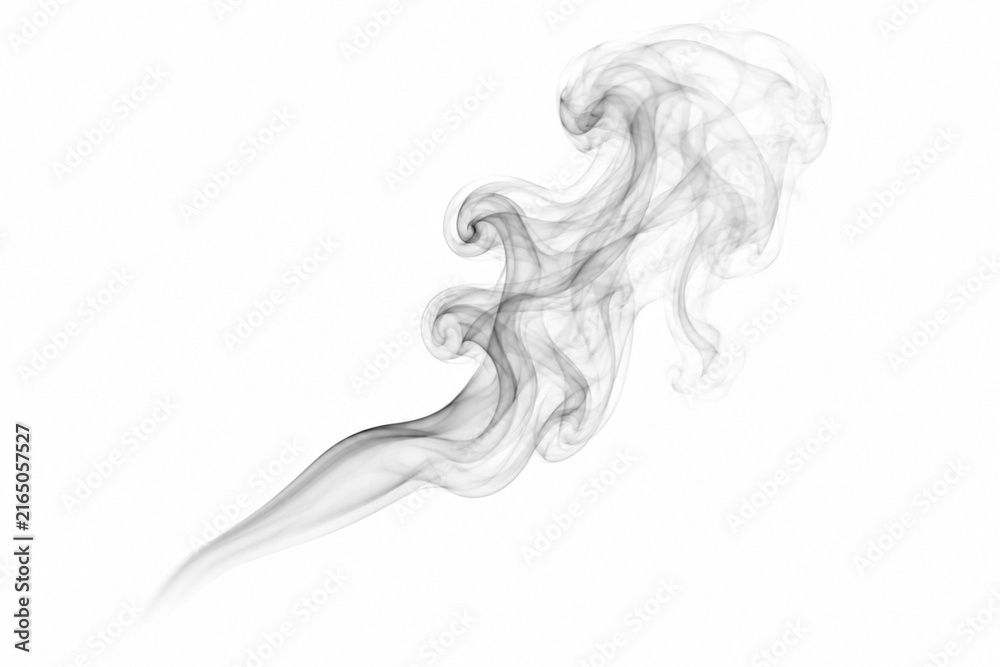 Fototapeta premium smoke swirls on white background