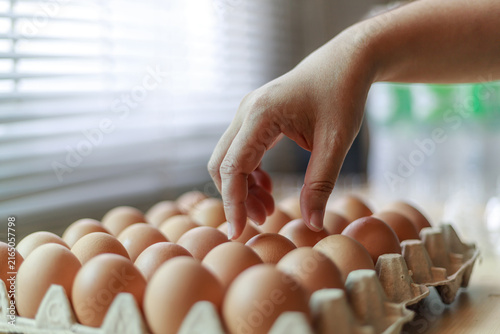 Hand Selecting Fresh Chicken Eggs from Egg Cartons