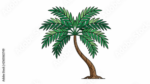 palm tree isolated on white