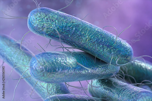 Detailed Scientific Illustration of Bacillus Bacteria Cells with Flagella