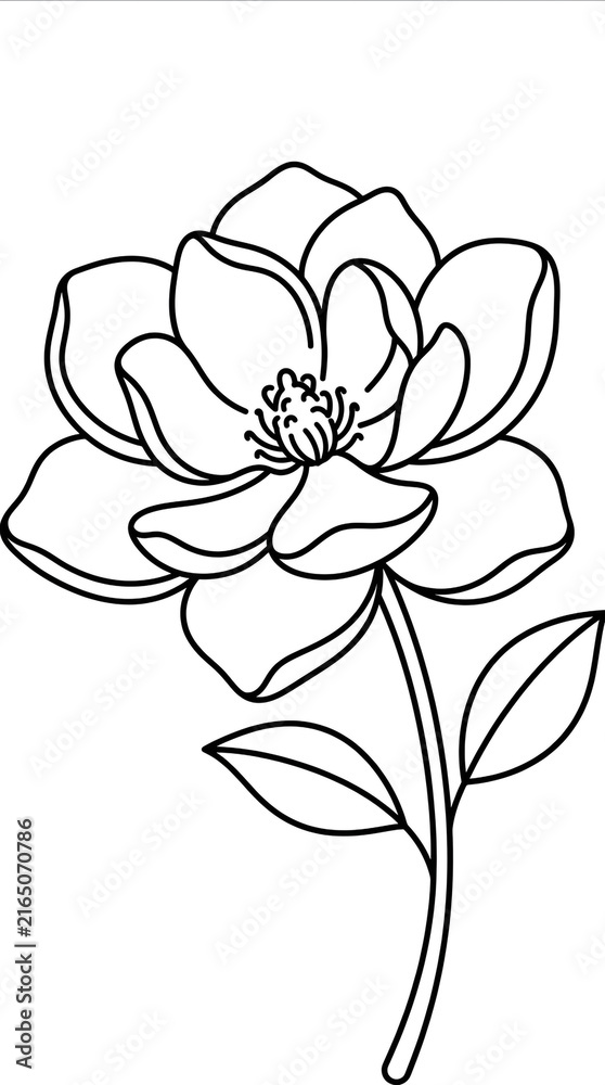 Naklejka premium Black and white outline vector drawing of a beautiful blossom flower with leaves