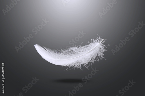 Soft white bird feathers falling in the dark. fluffy downy. feathers on gray. symbol of freedom and peace. softness of feathers  in heavenly.	
