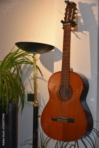 Canvastavla acoustic guitar on a wooden background