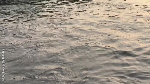 Calming fluid motion of gentle water ripples reflecting warm evening light. A beautifully serene and meditative nature background for relaxation videos.