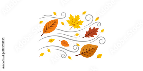 Konstfotografi Autumn leaves blowing in windy weather seasonal foliage flying through air with swirling air currents on transparent background image
