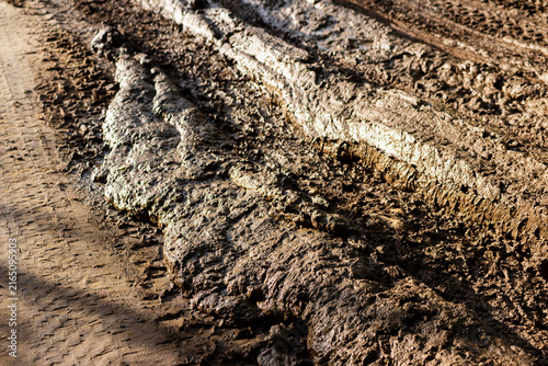 Foto Deep tire ruts carved into thick, wet, textured mud on a rural road under soft n