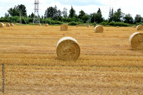 Foto Agriculture