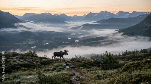 Solitary moose walking through an expansive Scandinavian valley surrounded by morning mist and forested mountains.
