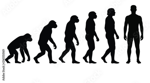 Human evolution progress showing black silhouette figures in a detailed vector graphic design flat style illustration