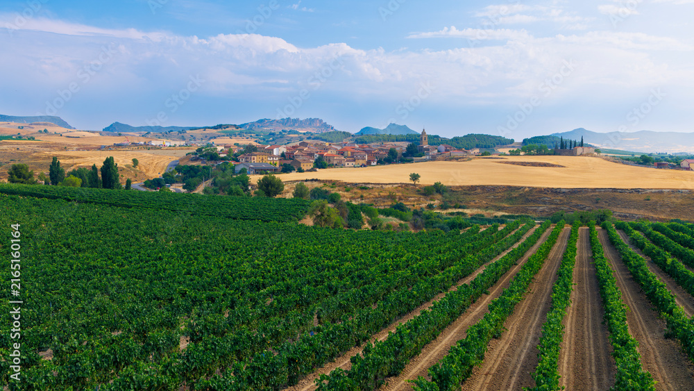 Fototapeta premium Aerial view of green vineyard rows with spanish village and mountains in background- La Rioja province