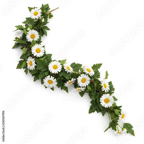 Beautiful crescent garland of white daisy flowers and green leaves