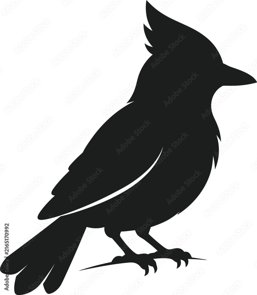 Fototapeta premium Crested Songbird Silhouette Vector