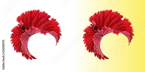Foto Circular arrangement of vibrant red coleus leaves isolated on transparent backgr