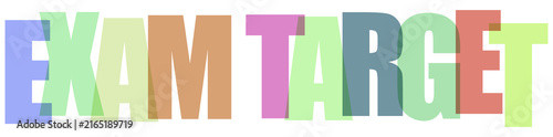 Obraz na plátně Colorful Translucent Text Words Exam Target Isolated