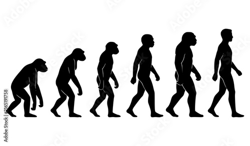 Canvastavla Human Evolution Silhouette Sequence from Early Hominin to Modern Man Vector Illu