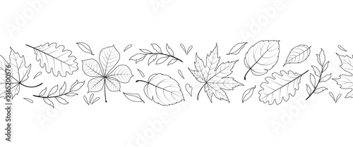 Seamless border with various leaves on a white background. Vector.
