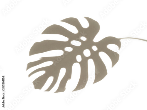 Photorealistic 3d cgi render of gold autumn skeleton monstera leaf isolated on background for professional graphic design