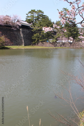 Принти на полотні moats and surrounding wall of a castle in matsue in japan