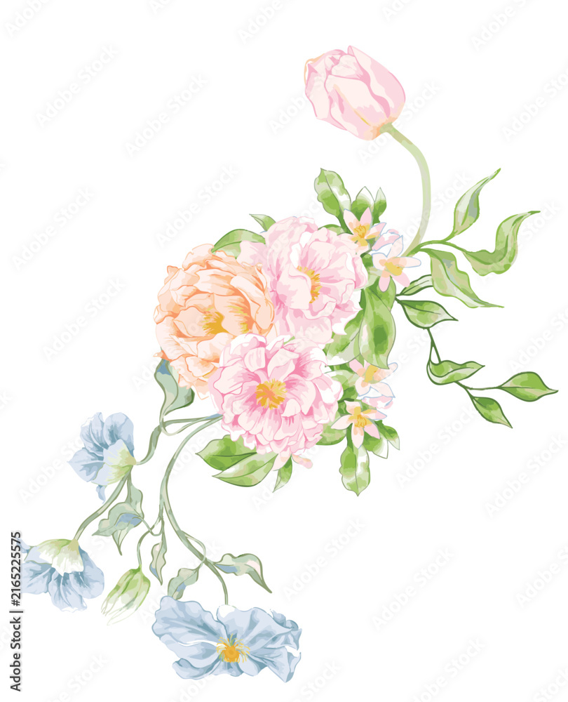 Fototapeta premium Watercolor pink peony and blue forget-me-not bouquet with delicate green leaves